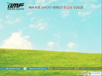 雨林木風Ghost Win10 64位專業版系統下載(Version2004)